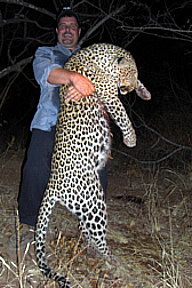 Leopard
