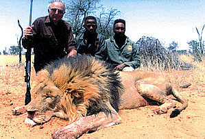 Lion