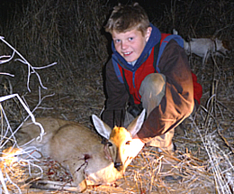 Southern Duiker