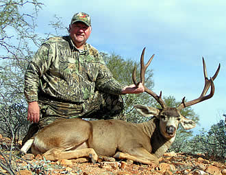 Mule Deer