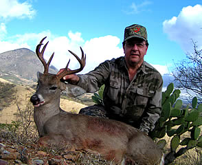 Coues Deer, Mexico