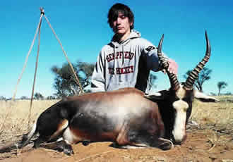 Blesbok