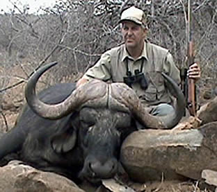 Cape Buffalo