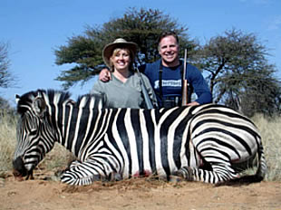 Zebra