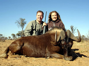 Black Wildebeeste