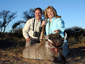 Wart Hog
