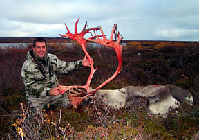 Cariboo