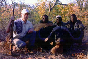 Cape Buffalo