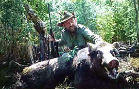 Wild Boar - Photo Courtesy of Peter Davidson