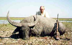 Buff - Photo Courtesy of Peter Davidson