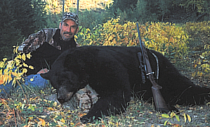 Black Bear
