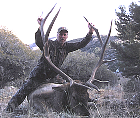 Elk