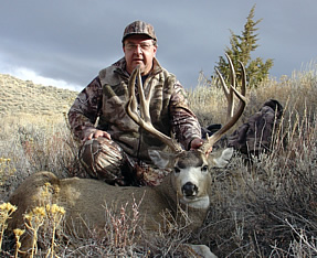 Mule Deer