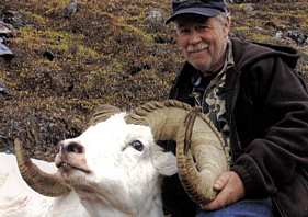 SHeep