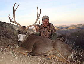 Elk