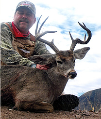 Coues Deer