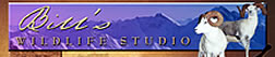Bill's Wildlife Studio