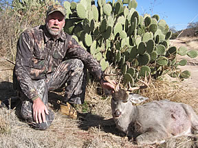 Coues Deer