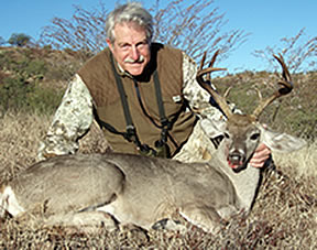Coues Deer
