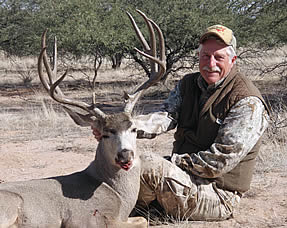 Mule Deer