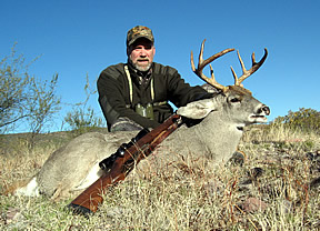 Coues Deer